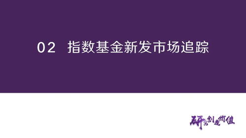 港股资金面承压,推荐关注酒etf